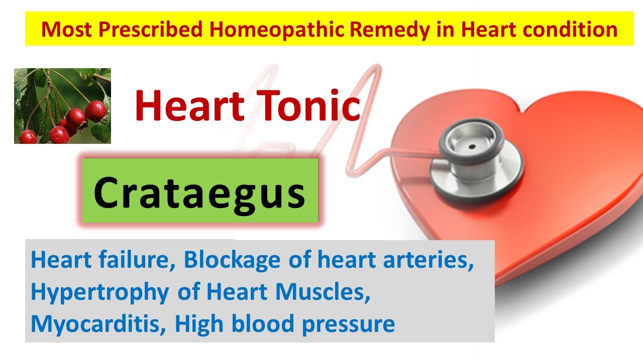 Crataegus | Heart Tonic | Heart failure, Weakness of heart, Block arteries, Hypertrophy of Heart, BP