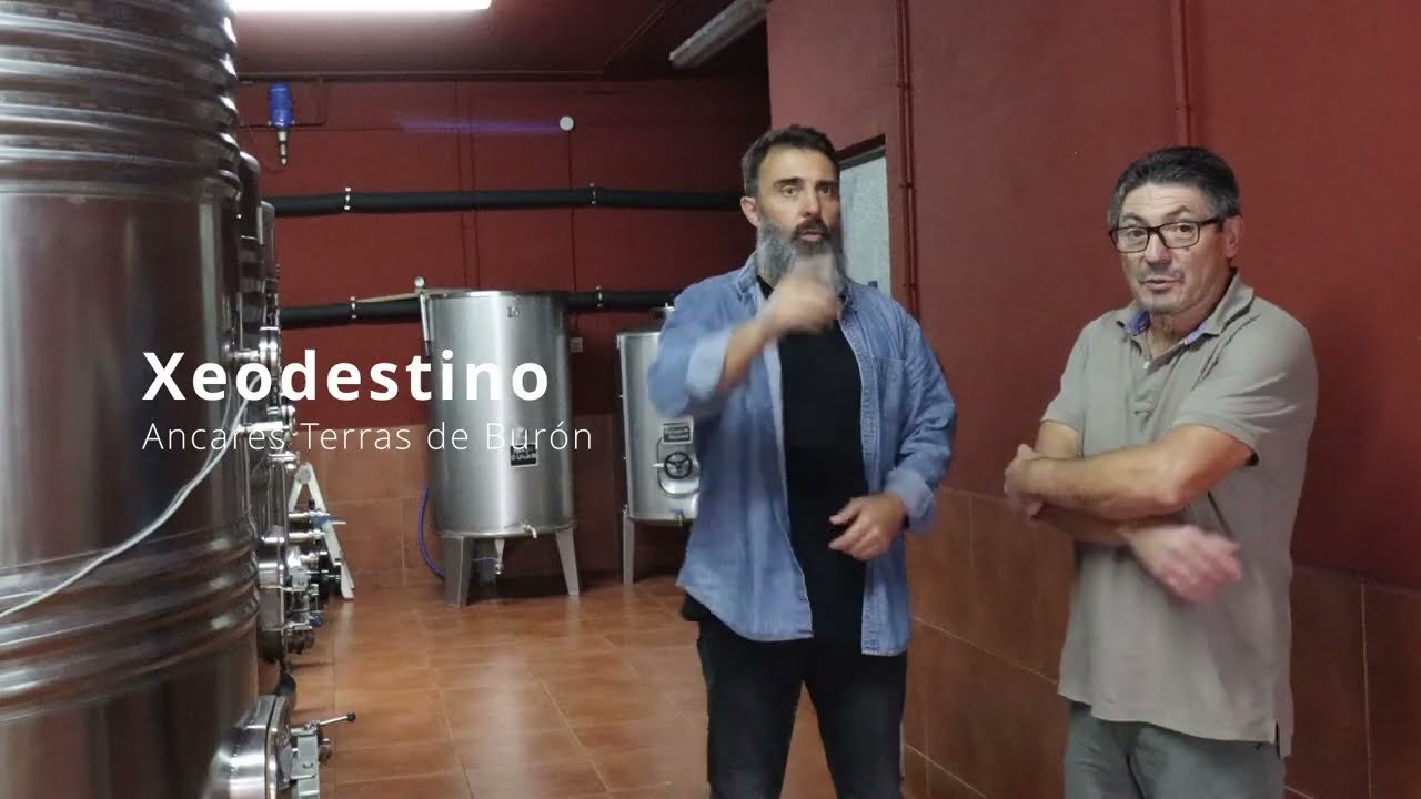 Bodega Pachín: Rescatando la Tradición Vinícola de Negueira de Muñiz