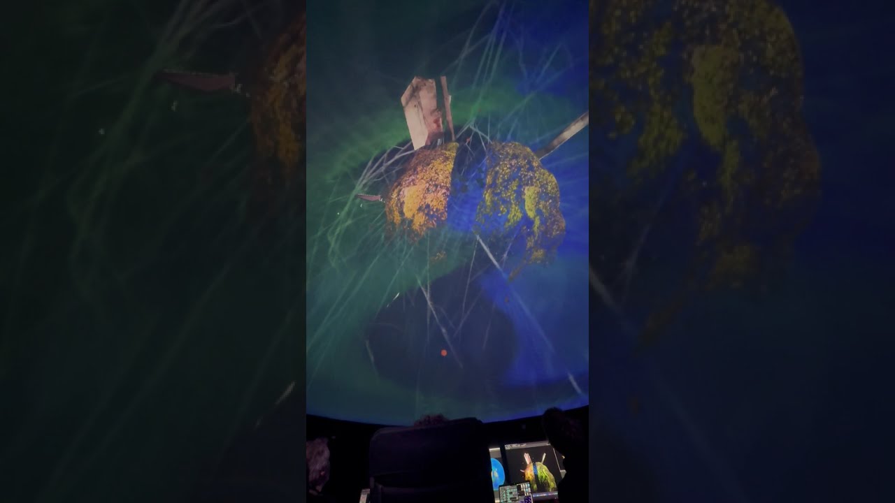 IMMERSIVE LABS  Live Performance