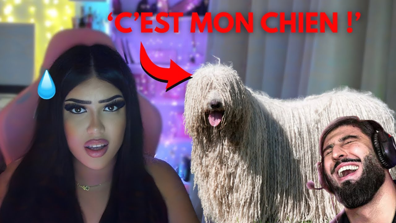 ON JUGE VOS ANIMAUX ! (y’a des cas graves) ft Achrafdesss