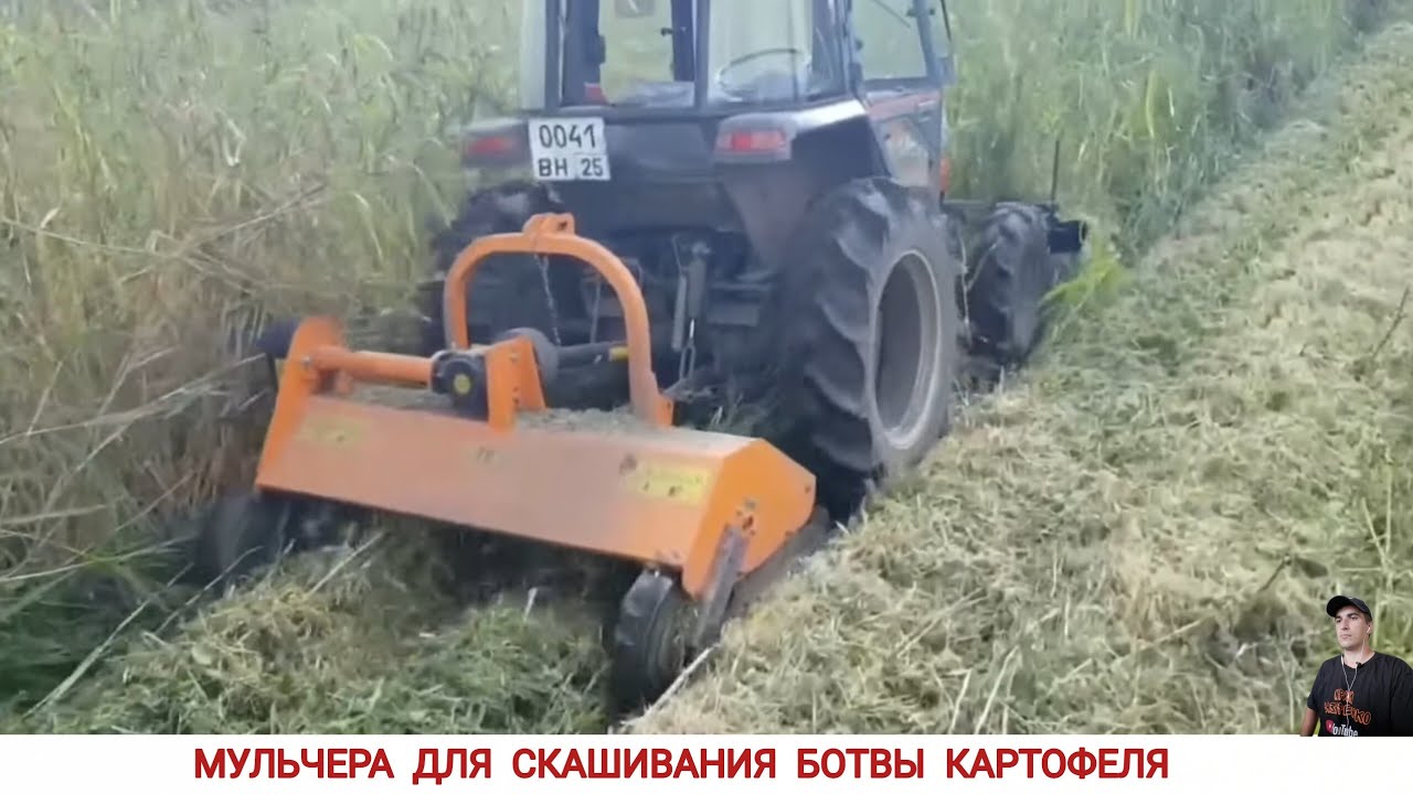 МУЛЬЧЕРА ДЛЯ СКАШИВАНИЯ БОТВЫ КАРТОФЕЛЯ, ПОДБОРКА ВИДЕО / MULCHER FOR MOWING POTATO LEAVES