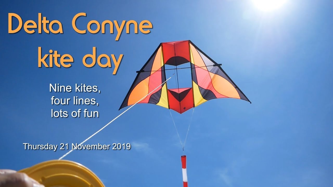 Delta Conyne kite day - nine kites, four lines, lots of fun