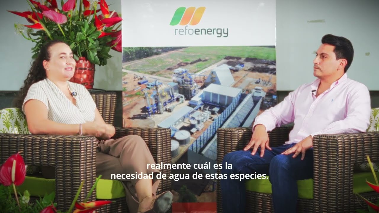 Conoce sobre el avance del estudio de Hidrología Forestal e Hidrogeología