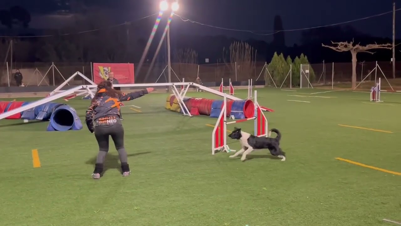 Party FCAG Santa Quiteria 1-02-26 Agility