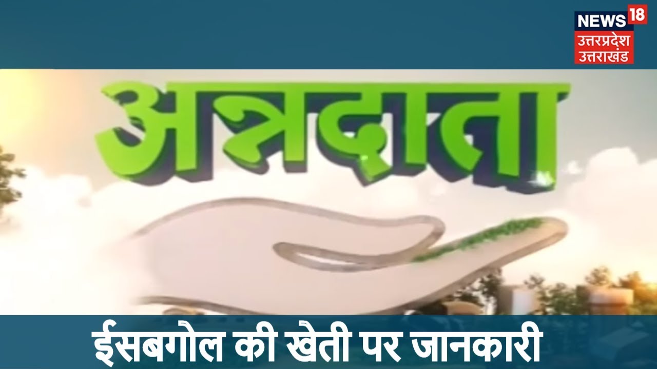 ईसबगोल की खेती पर जानकारी |  | ANNADATA |  11  OCT 2018