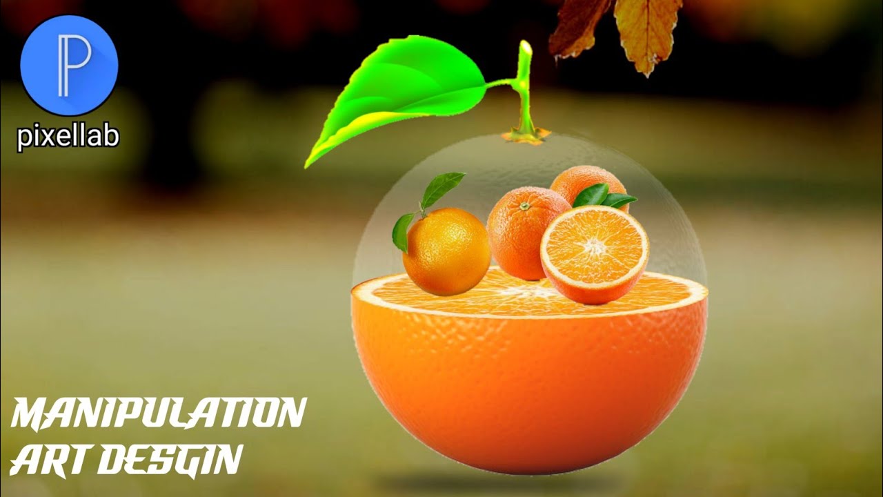 How to make pixellab manipulation art desgin. #pixellab_tutorial #graphic_design #logodesign