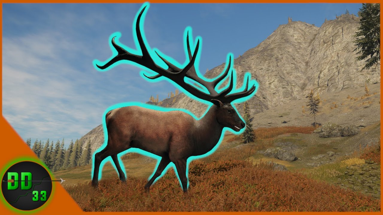 Look What We Just Found In The Mountains of Layton Lakes! Call Of The Wild