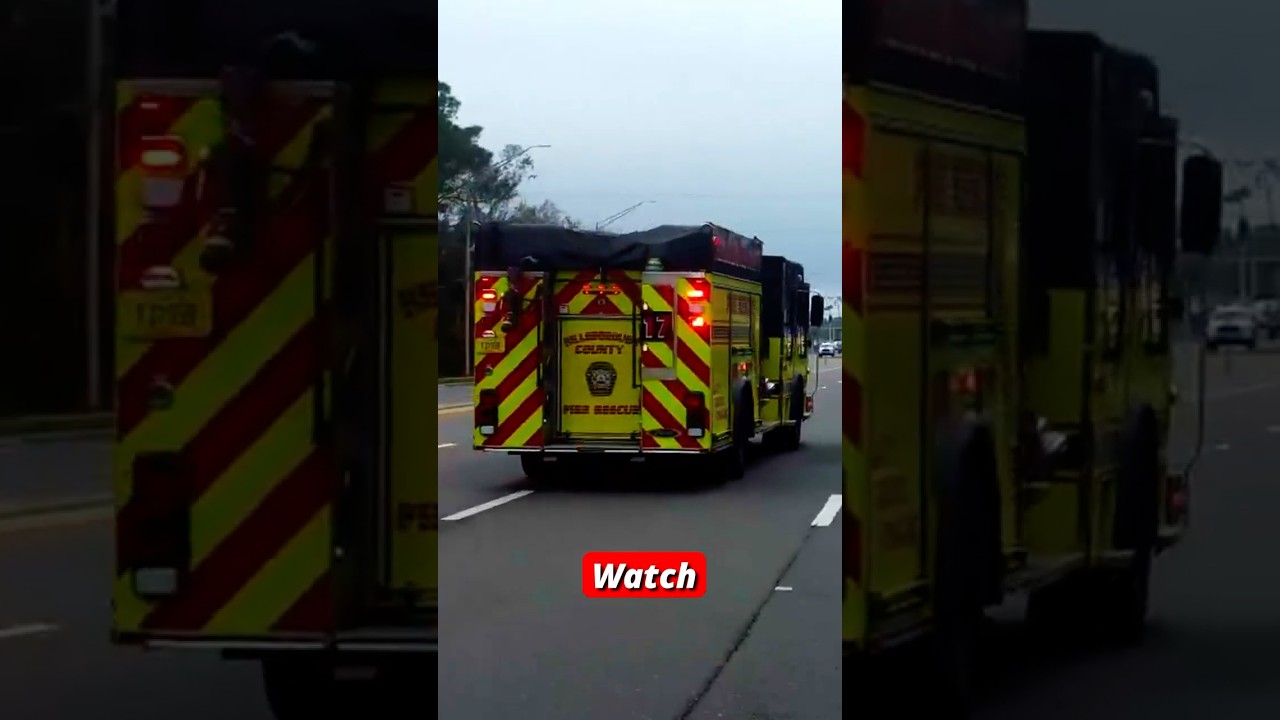 Watch Traffic Clear Automatically Before Emergencies