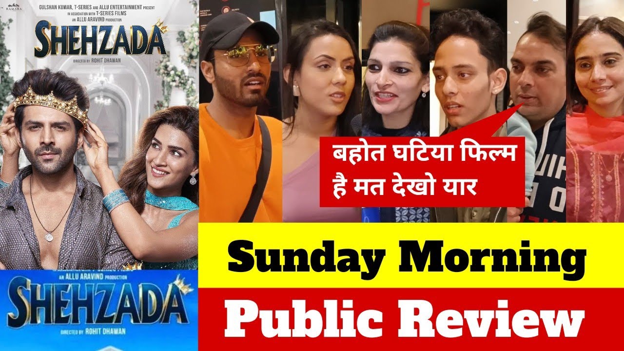Shehzada Movie Public Review | Shehzada Public Reaction | Shehzada Movie Review 