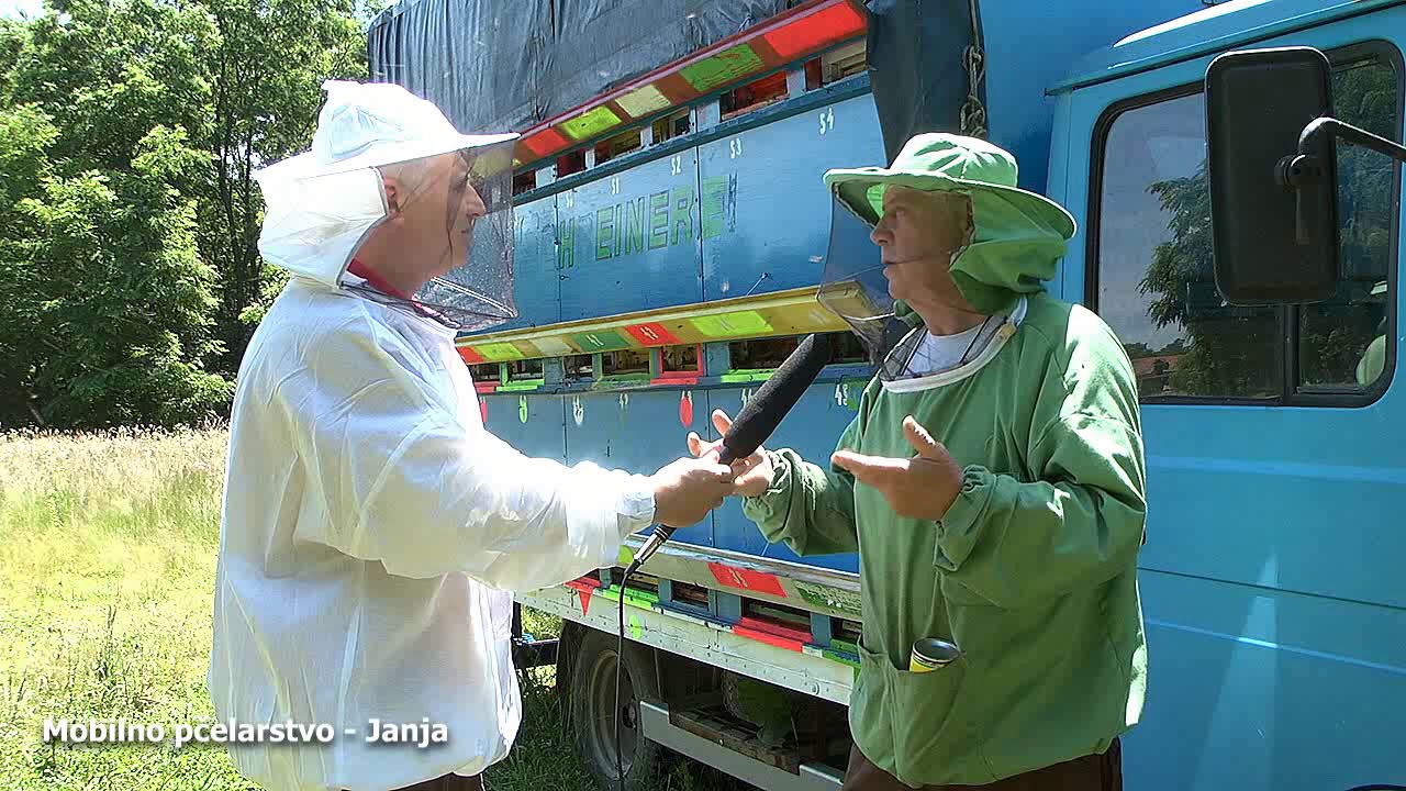 Mobilnio pcelarstvo - Janja