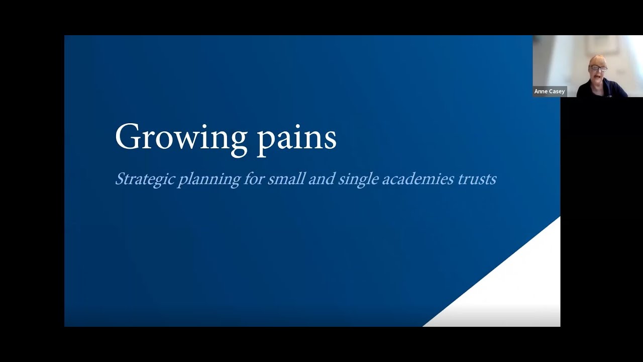 Growing Pains: Strategic planning for small and single trusts
