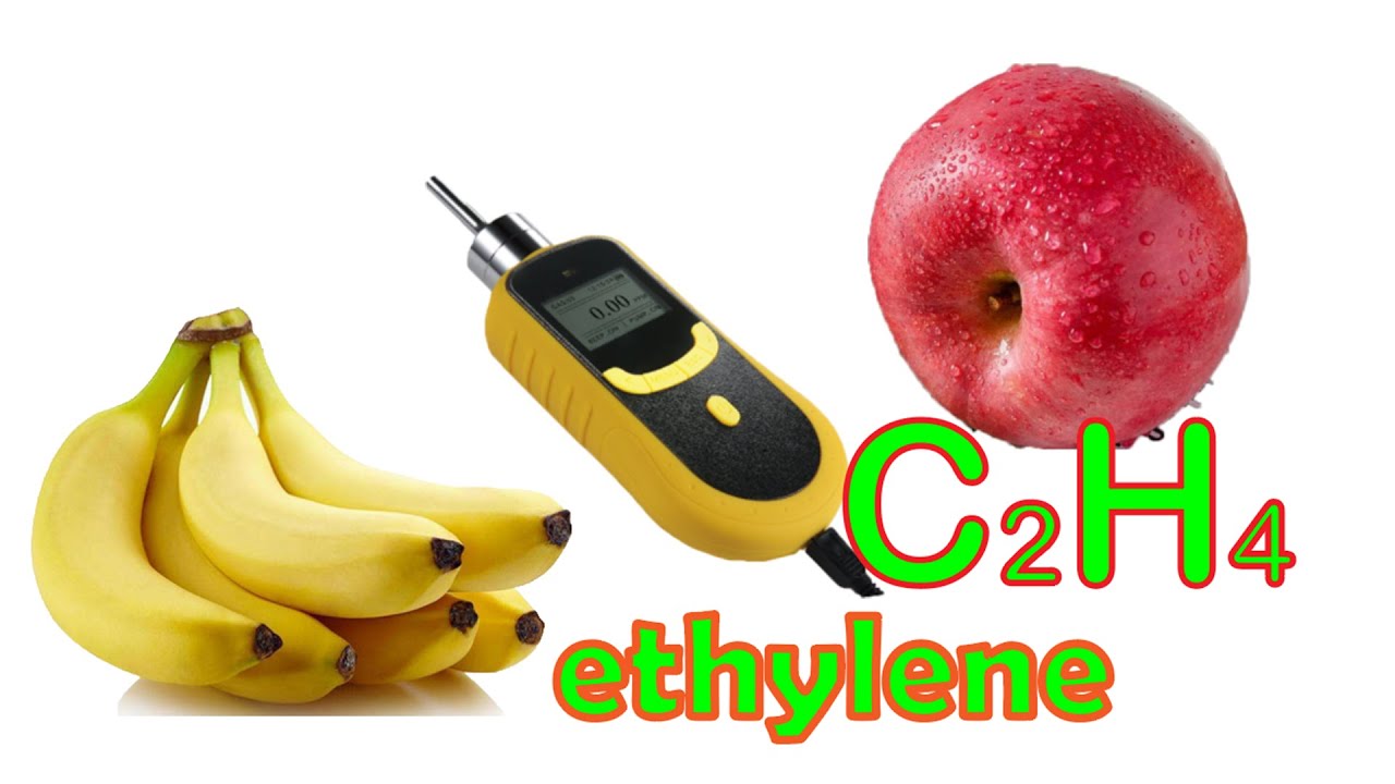 How much C2H4 (ethylene) do ripe bananas and apples produce?