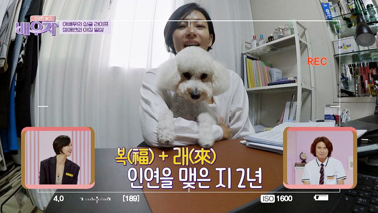 여배우의 싱글 라이프는 어떨까?🧐 정애연의 리얼한 일상 공개! | 건강한 발견 배우자 190회 | JTBC 241001 방송