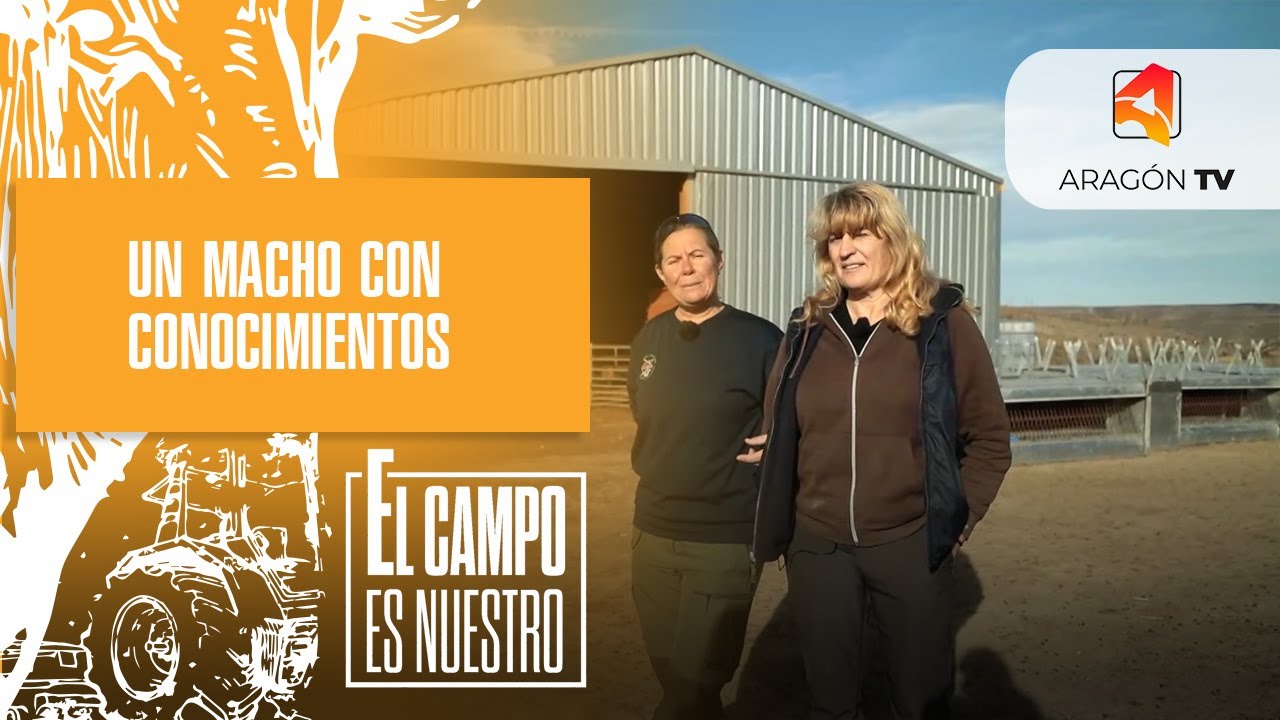 Un macho con conocimientos tecnológicos