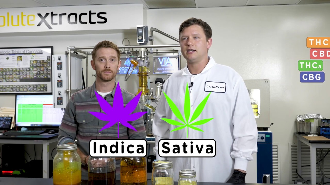 How It's Made: Cannabis Full Spectrum Oil