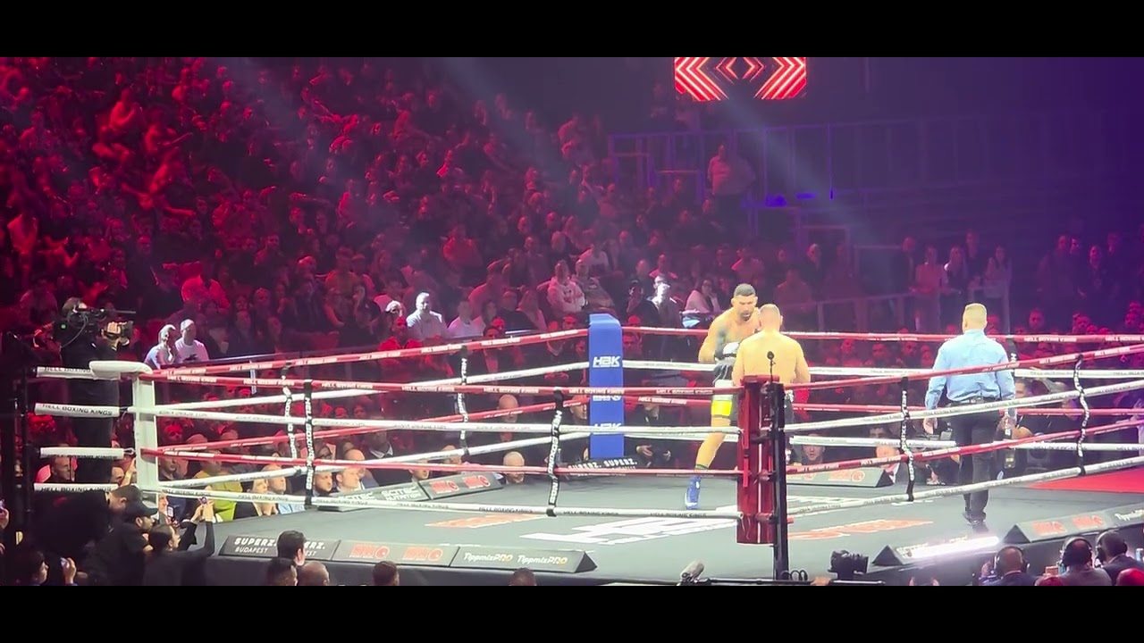 #erdeizsolt #madár utolsó box @hellboxingkings 