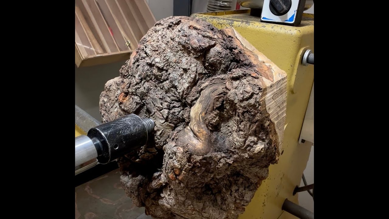 Maple Burl Transformation Into Rustic Beauty