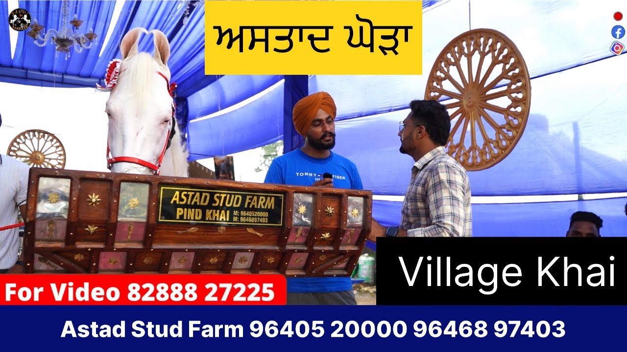 Astad Stud Farm 96405 20000 96468 97403 Village Khai { Jaddi Sardaar }