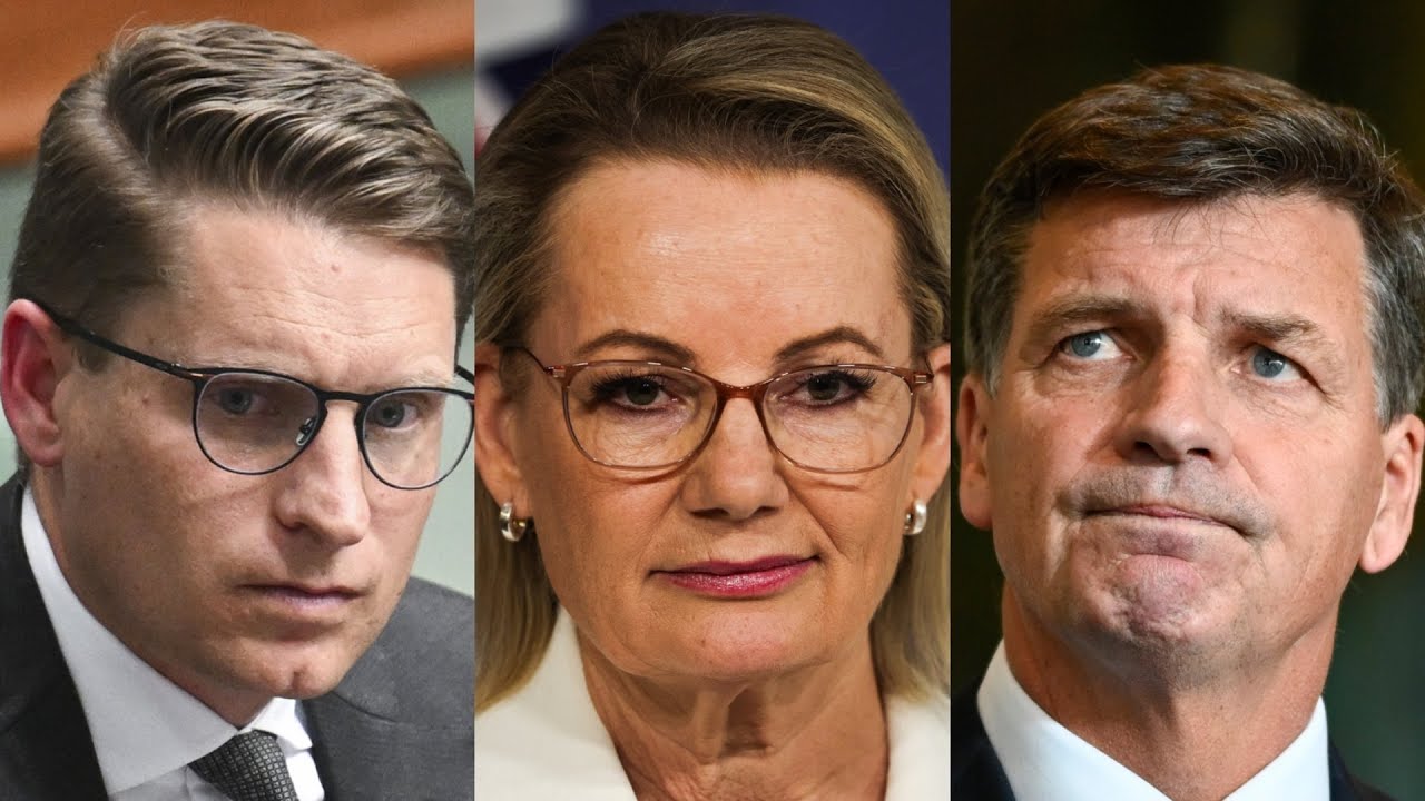 ‘Immensely damaging’: Liberals’ ‘period of destabilisation’ cannot continue