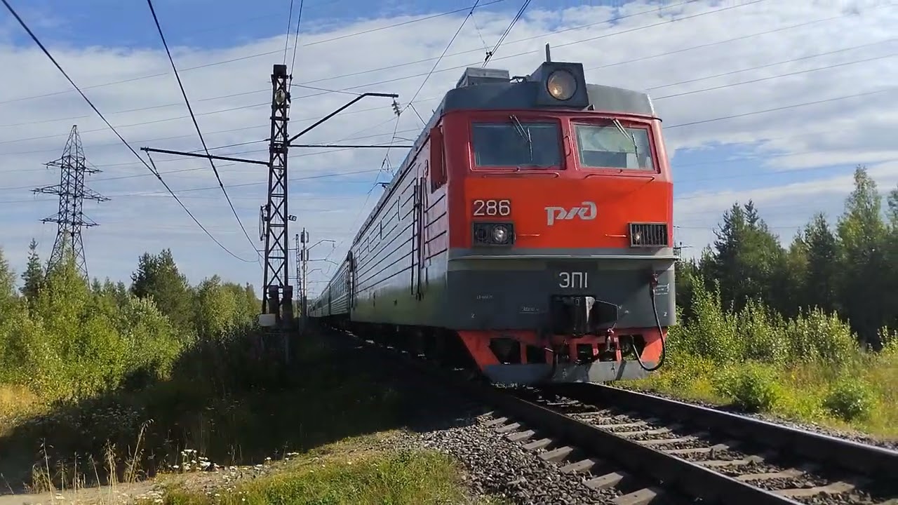 Электровоз ЭП1-286 с пассажирским поездом №143Я Мурманск - Смоленск, 16 августа 2024 г.