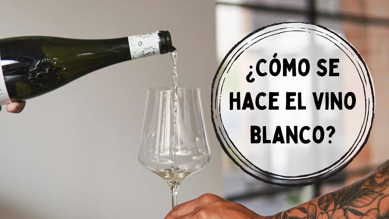 12. ¿Cómo se ELABORA en VINO BLANCO? 🥂