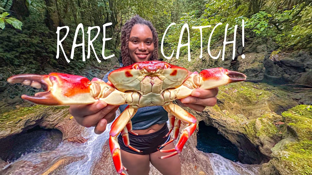 DEEP DIVING & SPEARFISHING FOR GIANT STONE CRAB (CATCH, CLEAN & COOK)
