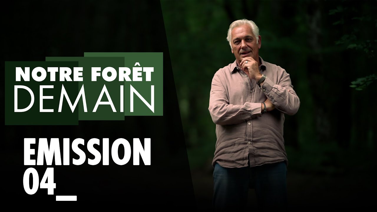 🌳INÉDIT Notre forêt demain, Épisode 4, 1er.10.23