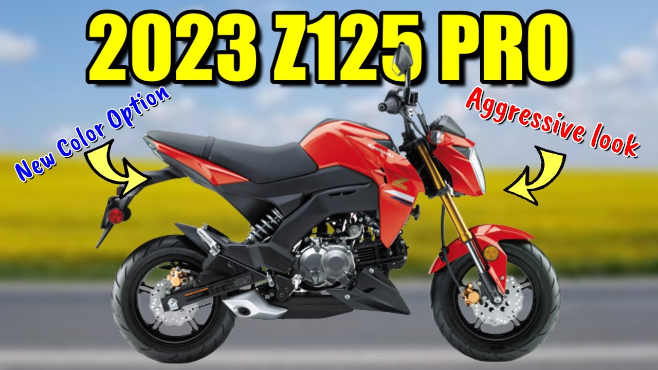 2023 KAWASAKI Z125 Pro‼️: The Mini Streetfighter That Packs A Punch