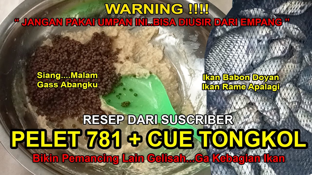 WARNING !!!!!! Jangan pakai umpan ini...Bisa diusir dari empang !!!!! Resep umpan dari suscriber