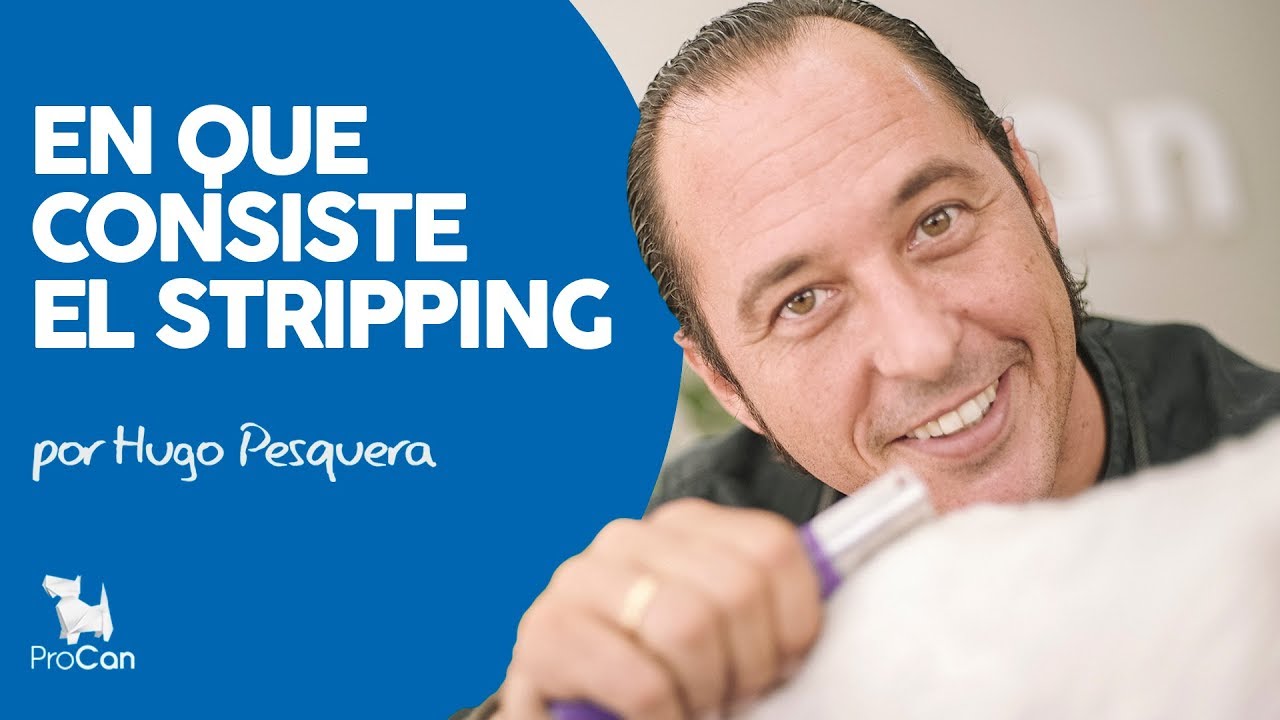 EN QUE CONSISTE EL STRIPPING | HUGO PESQUERA | PELO DURO
