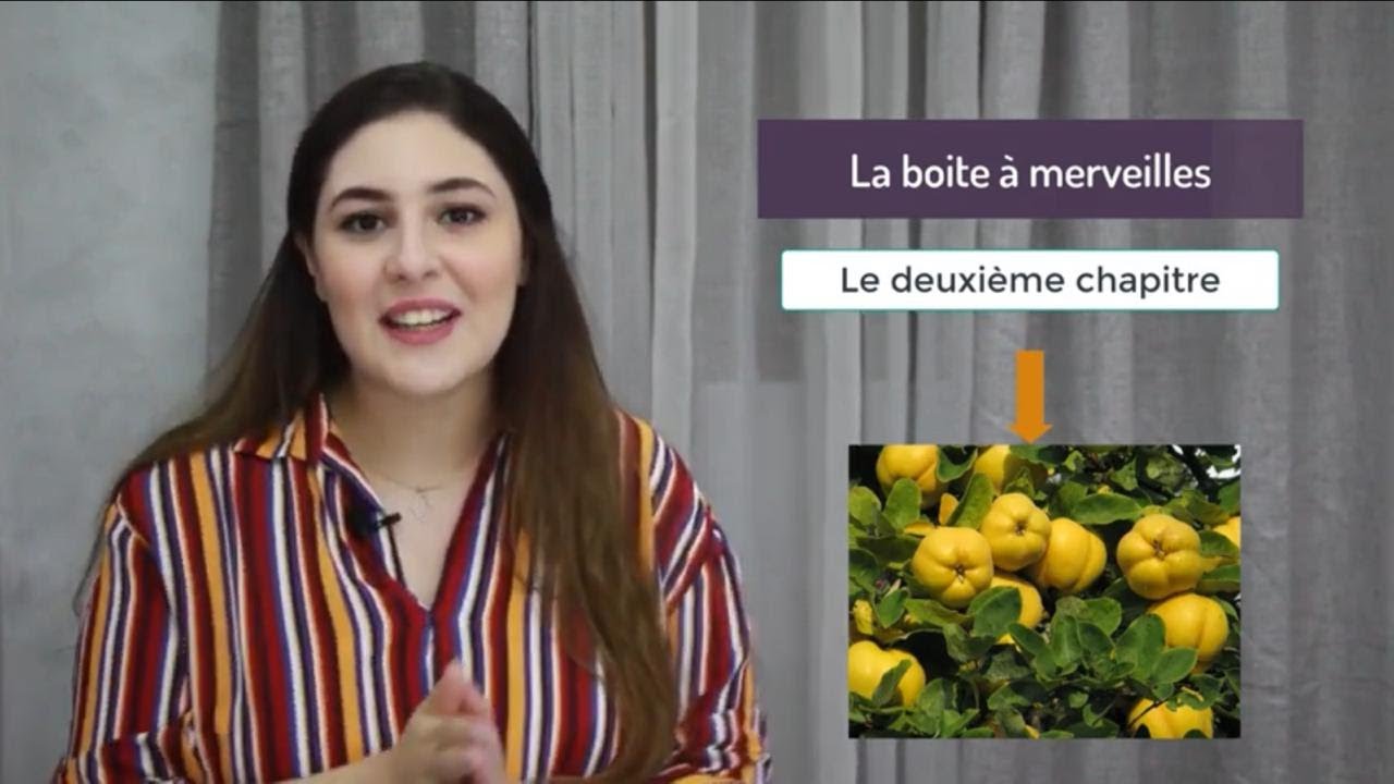 Chapitre 2 de la boite à merveilles d'Ahmed Sefrioui 1bac