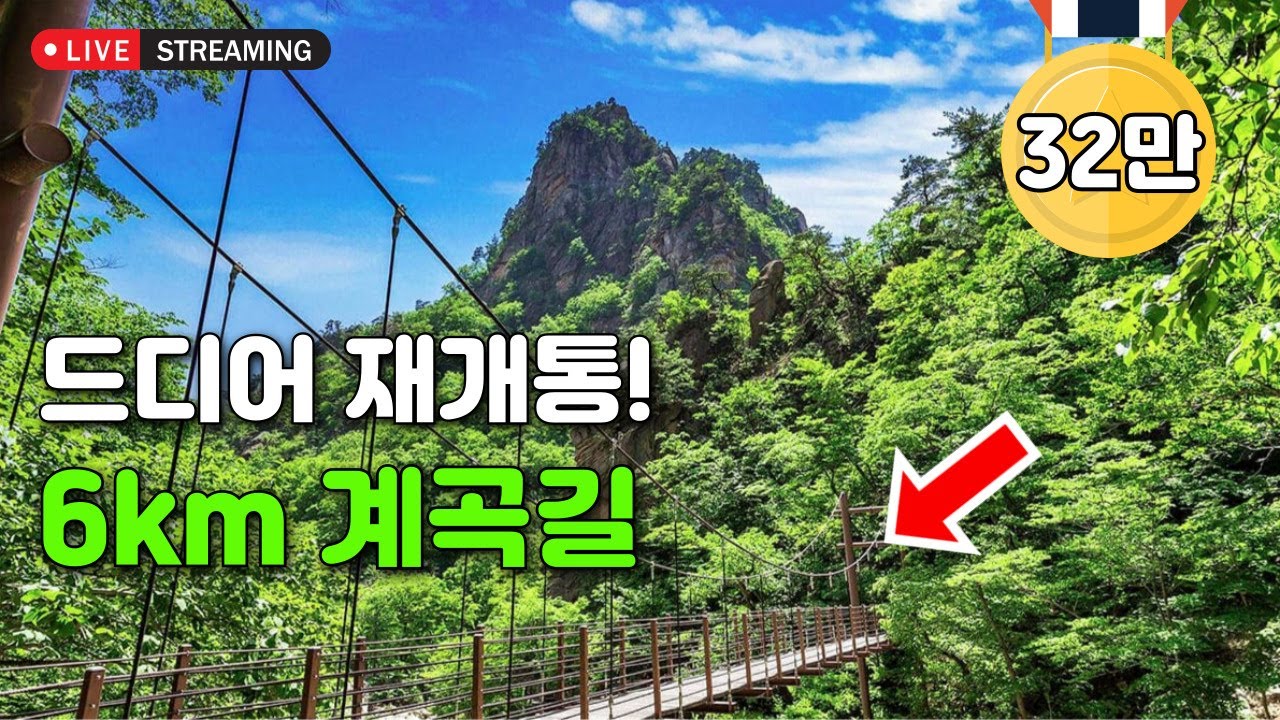 [라이브소통] 🚶‍♂️걷기 쉬운 길! 전구간 압도적인 비경을 감상하며 걷는 6km 계곡 트레킹 코스! 여름에도 걷기 참 좋아요. 👍 | 대중교통 당일치기 여행