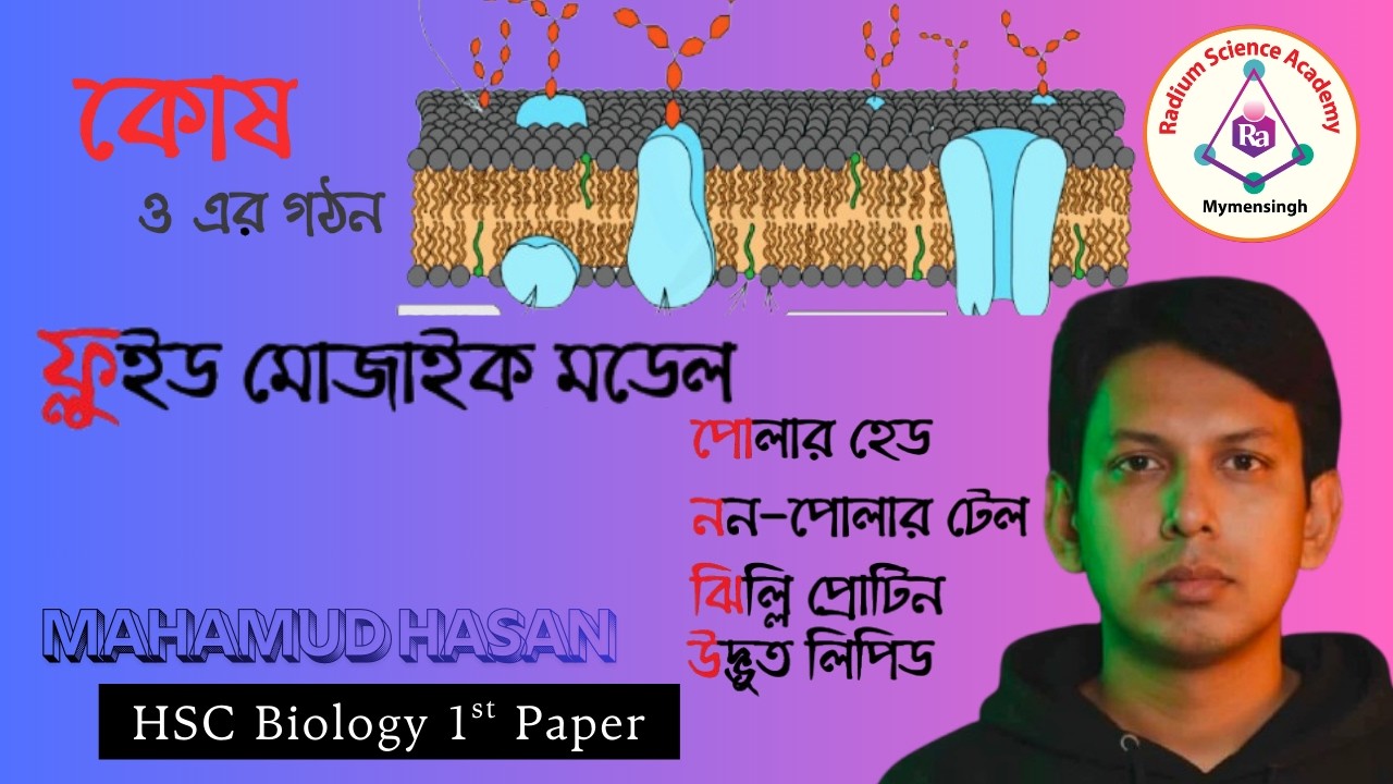 Lecture : 5 Fluid মোজাইক মডেল Fluid Mosaic Model