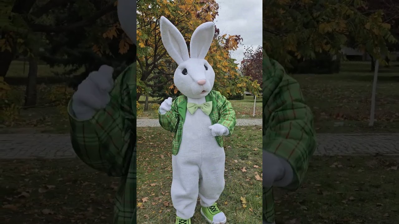 Mascot costume of Easter rabbit Alister 