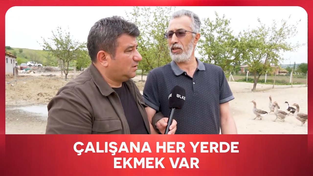 Kaz Yetiştiriciliği Yaparak Para Kazanmak | En İyisi Gezmek | Samsun