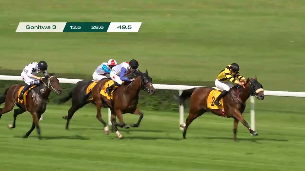 Race 3 Dorpat Prize - 07/25/2026