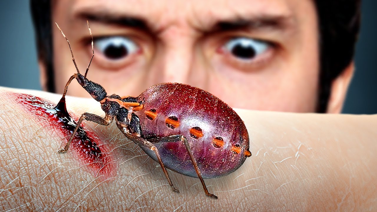 Hab mir freiwillig einen der gefährlichsten Parasiten geholt!