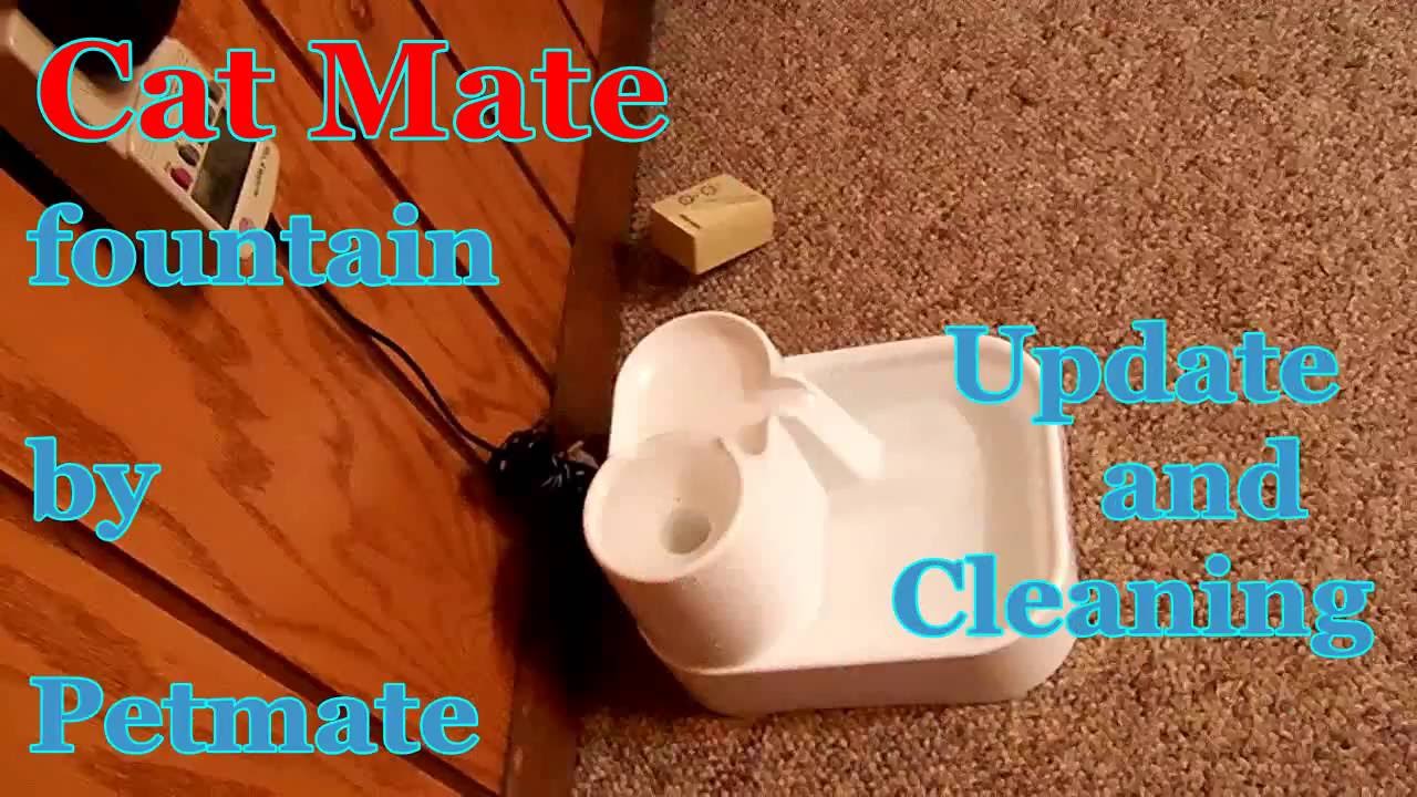 Cat Mate Pet Fountain - Update and Cleaning