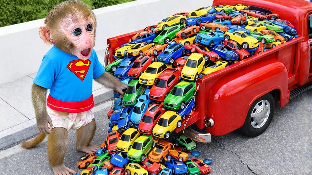 Macaco Bon Bon compre carrinhos hot wheels coloridos e ganhe prêmios | BONBON BRAZIL