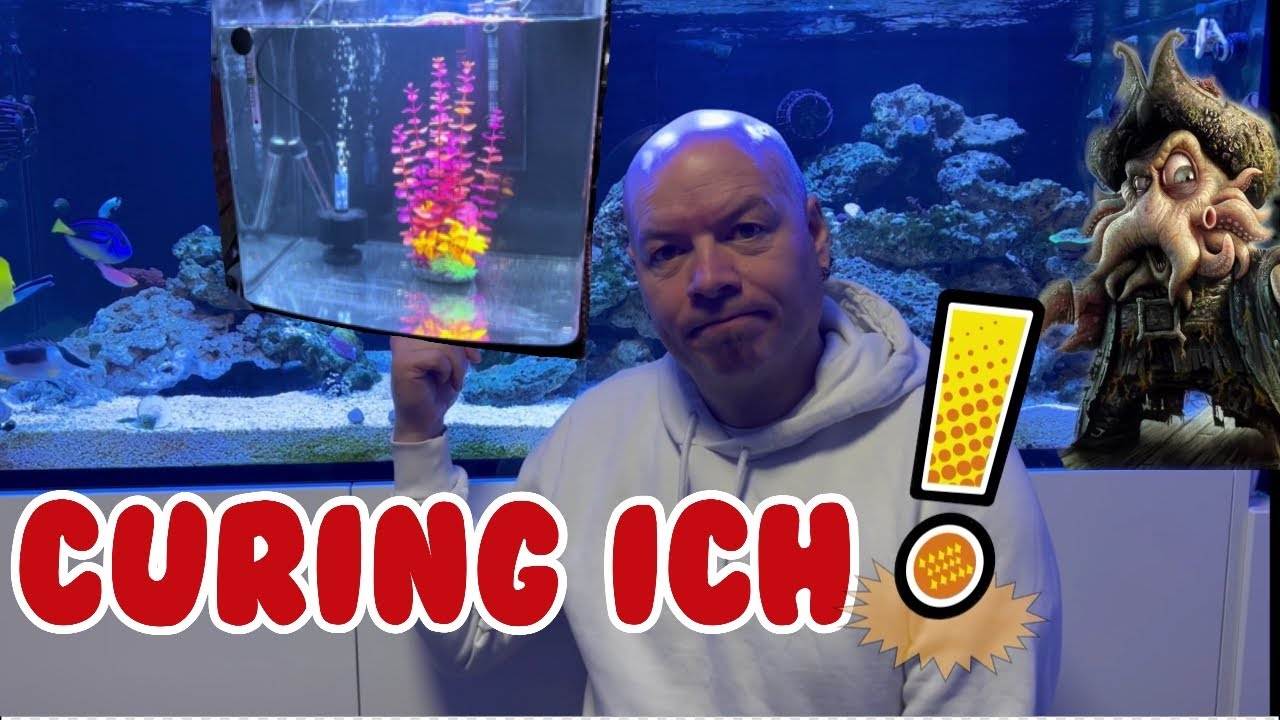 180g Reef Tank - Dealing with Cryptocaryon Irritans / ICH