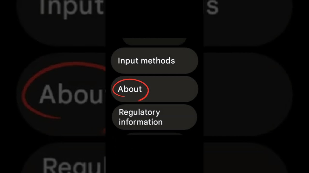 How to activate Developer options on Google Pixel Watch