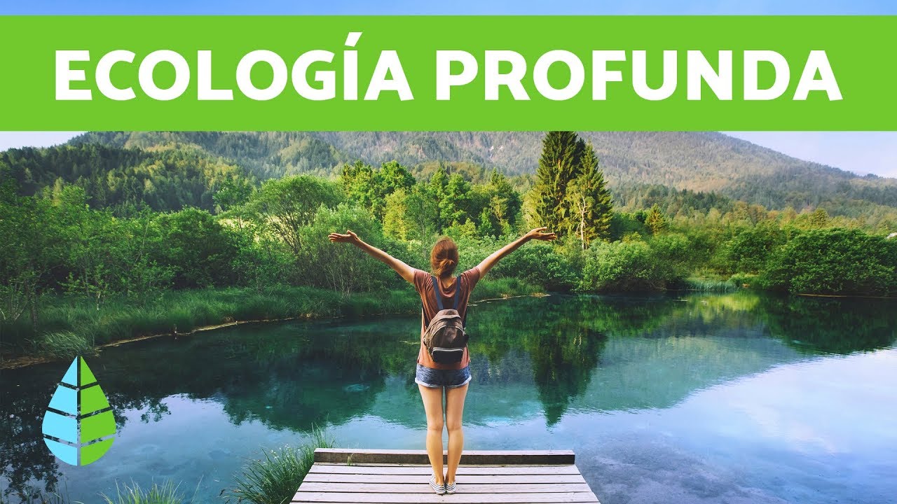 Ecolog&iacute;a y medio ambiente - Qu&eacute; es la ECOLOG&Iacute;A PROFUNDA 🌳