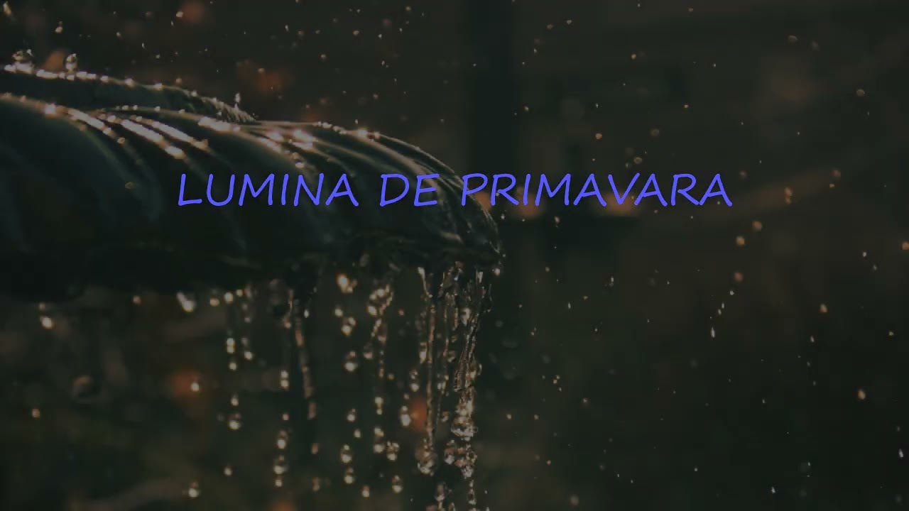 LUMINA DE PRIMAVARA by Misu Ilie