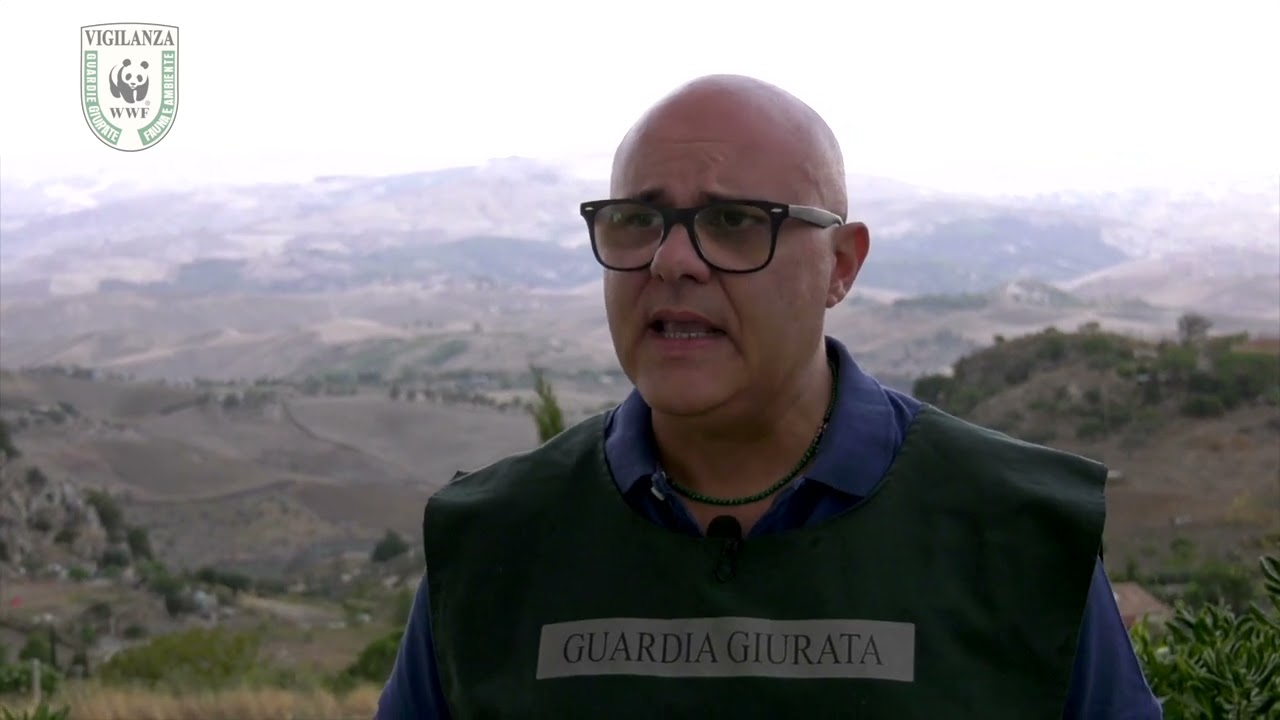Guardie WWF scoprono un incendiario mentre appicca il fuoco nelle campagne di Sutera (CL)