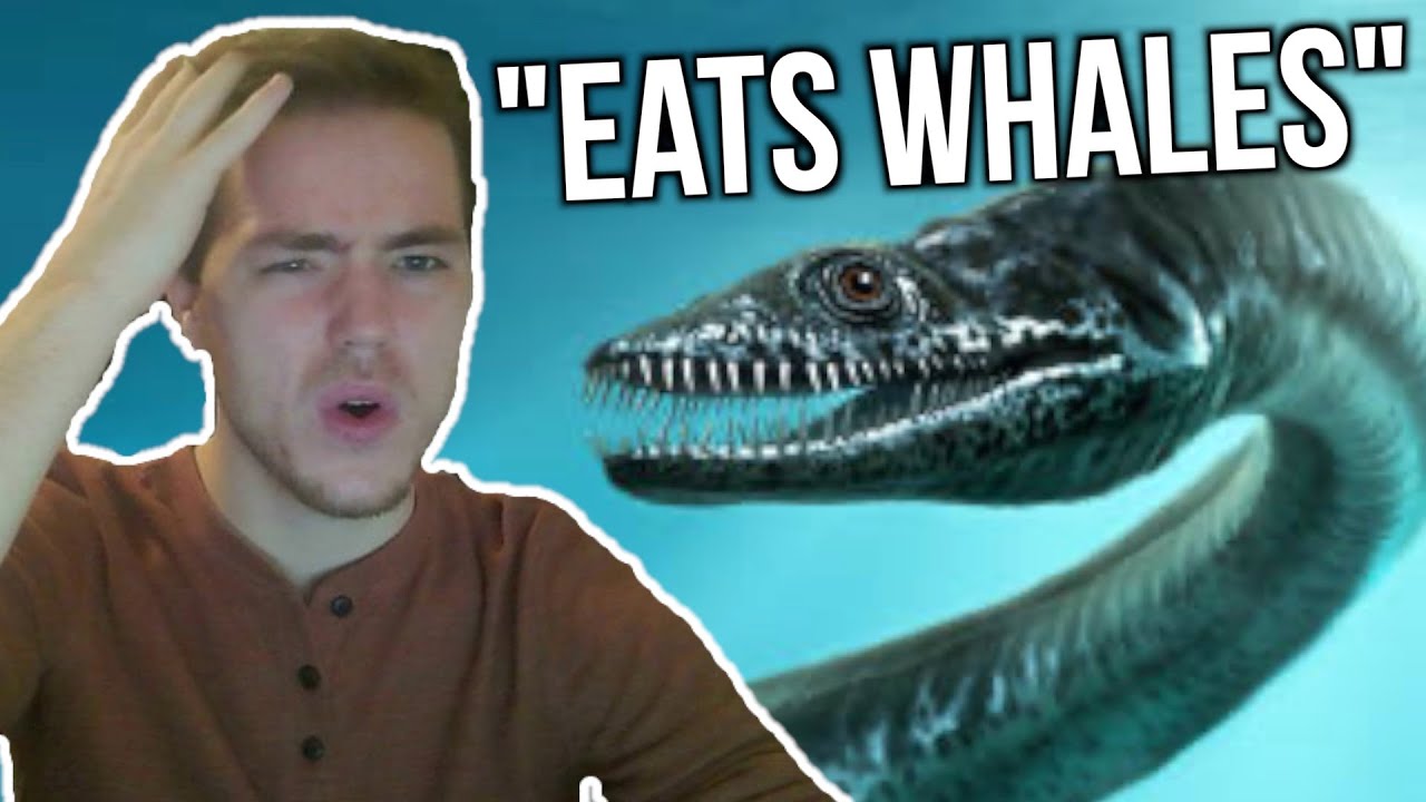 Fish Biologist reacts to 