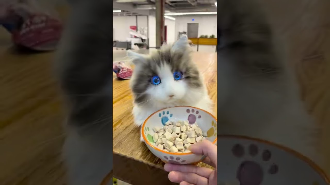 metaCat | Realistyczny robot-kot napędzany sztuczną inteligencją