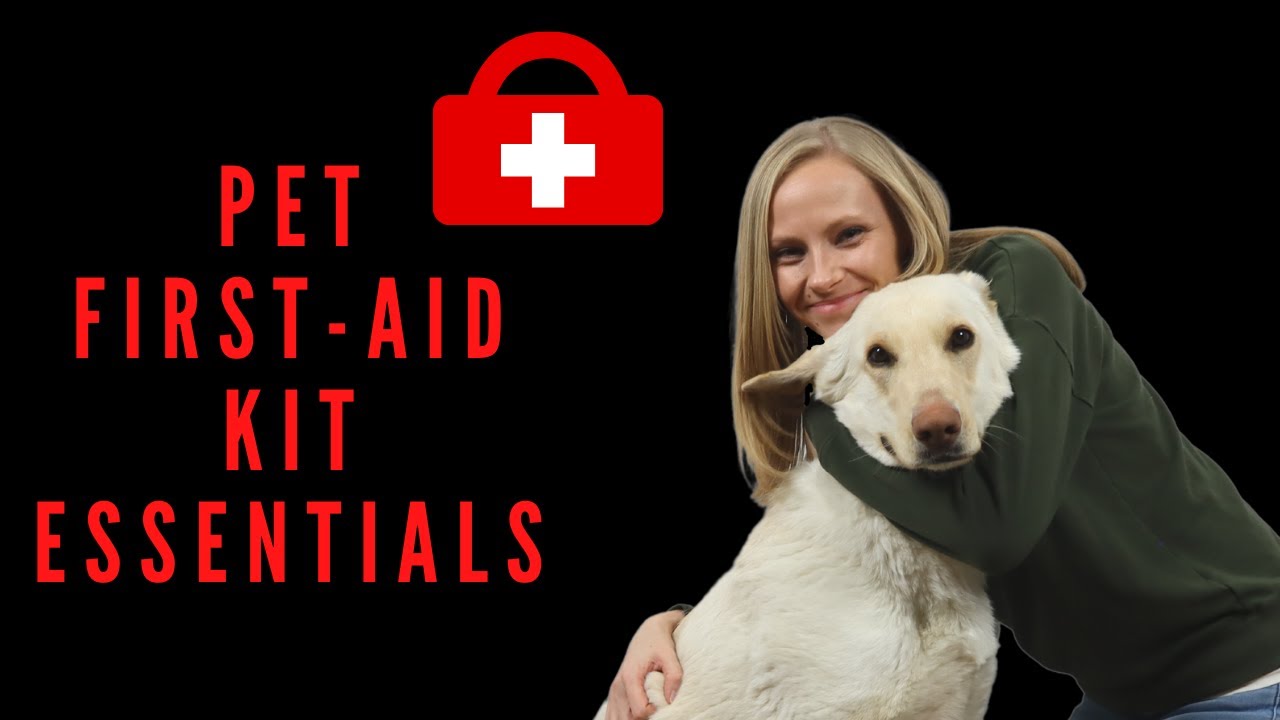 Pet first-aid kit essentials