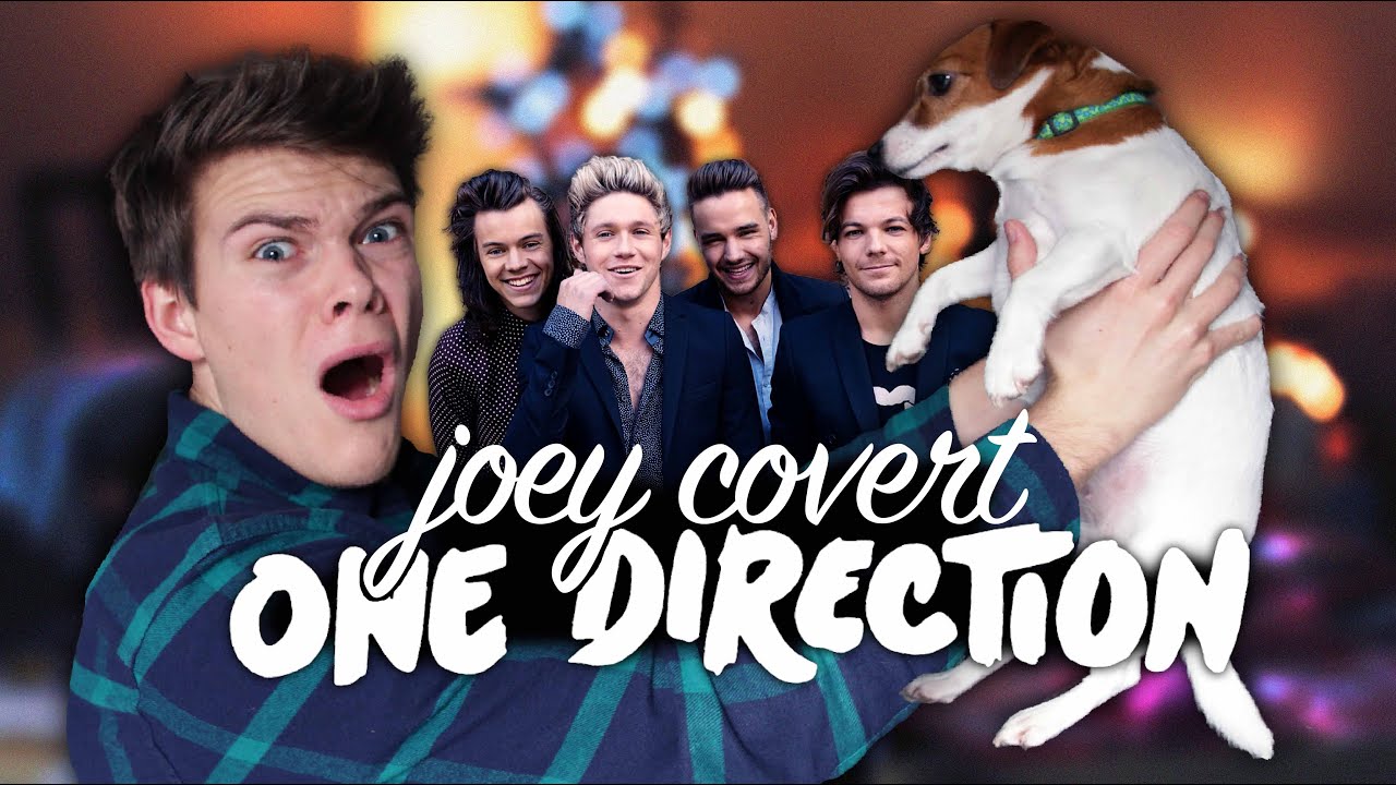 ONE DIRECTION - IF I COULD FLY (Cover) - #FragJosef | Joey's Jungle