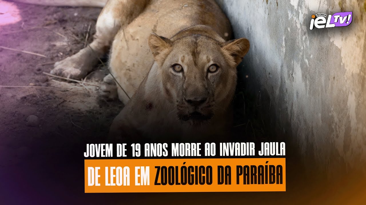 IELTV - JOVEM DE 19 ANOS MORRE AO INVADIR JAULA DE LEOA EM ZOOL&Oacute;GICO DA PARA&Iacute;BA&Iacute;