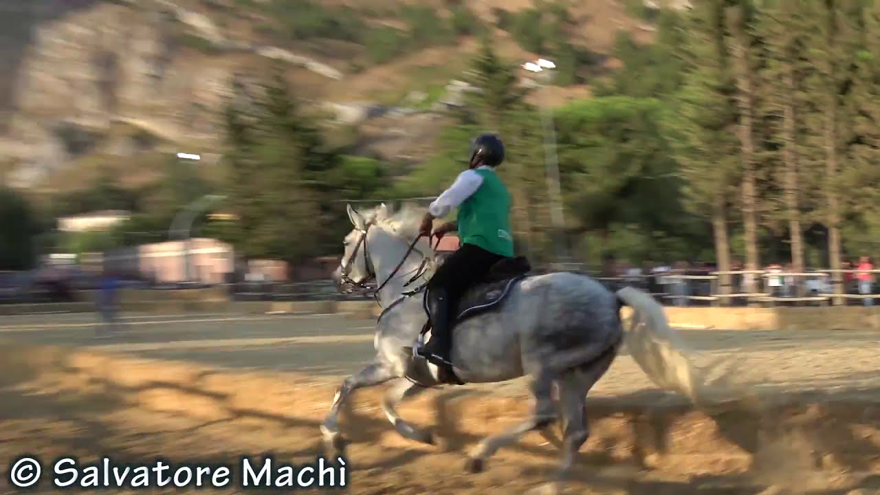 Caltavuturo (PA) - Sfilata equestre 2017